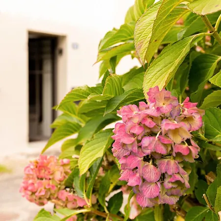 Ferienhaus L'ecrin De La Sevre Cugand