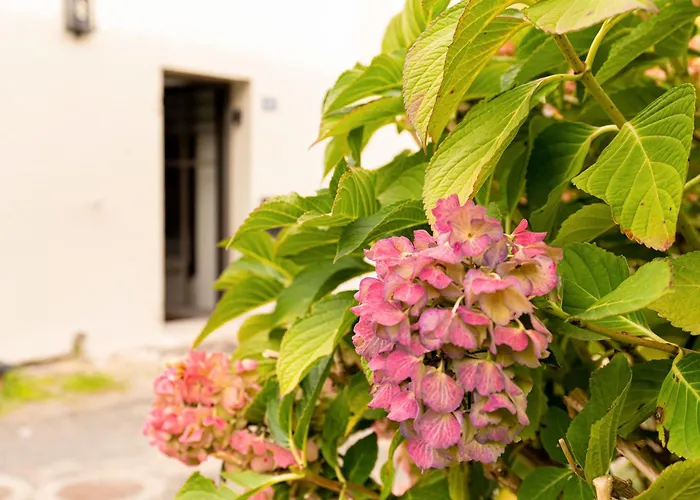 Ferienhaus L'ecrin De La Sevre Cugand